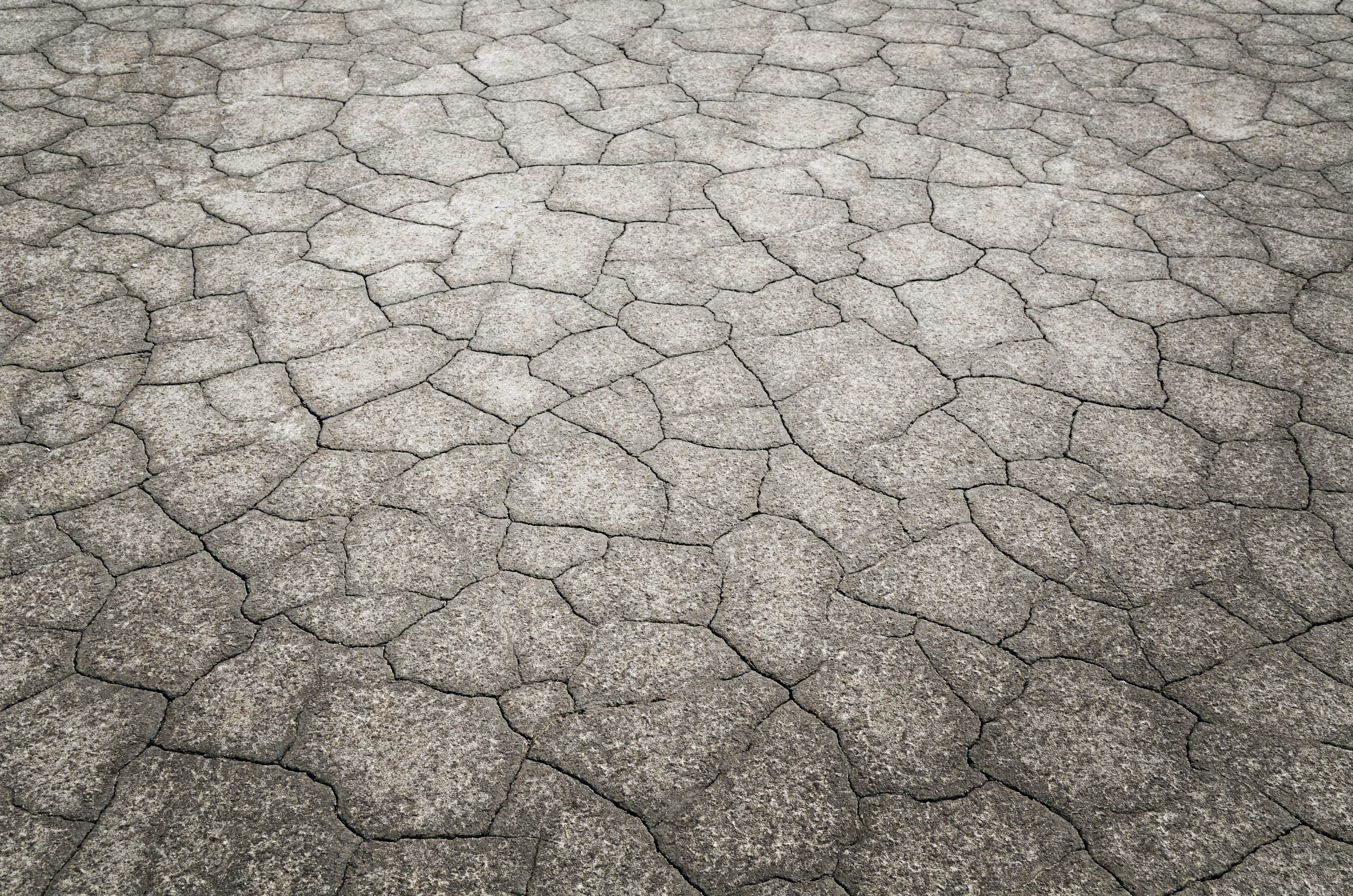 A wide area of pavement cracked into a close pattern
