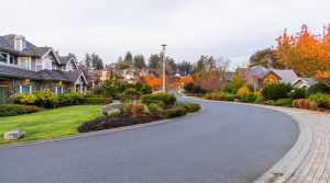 View of a peaceful residential street in Victoria, Vancouver Island, showcasing charming homes and vibrant autumn foliage. This serene neighborhood scene captures a tranquil and welcoming community atmosphere.
